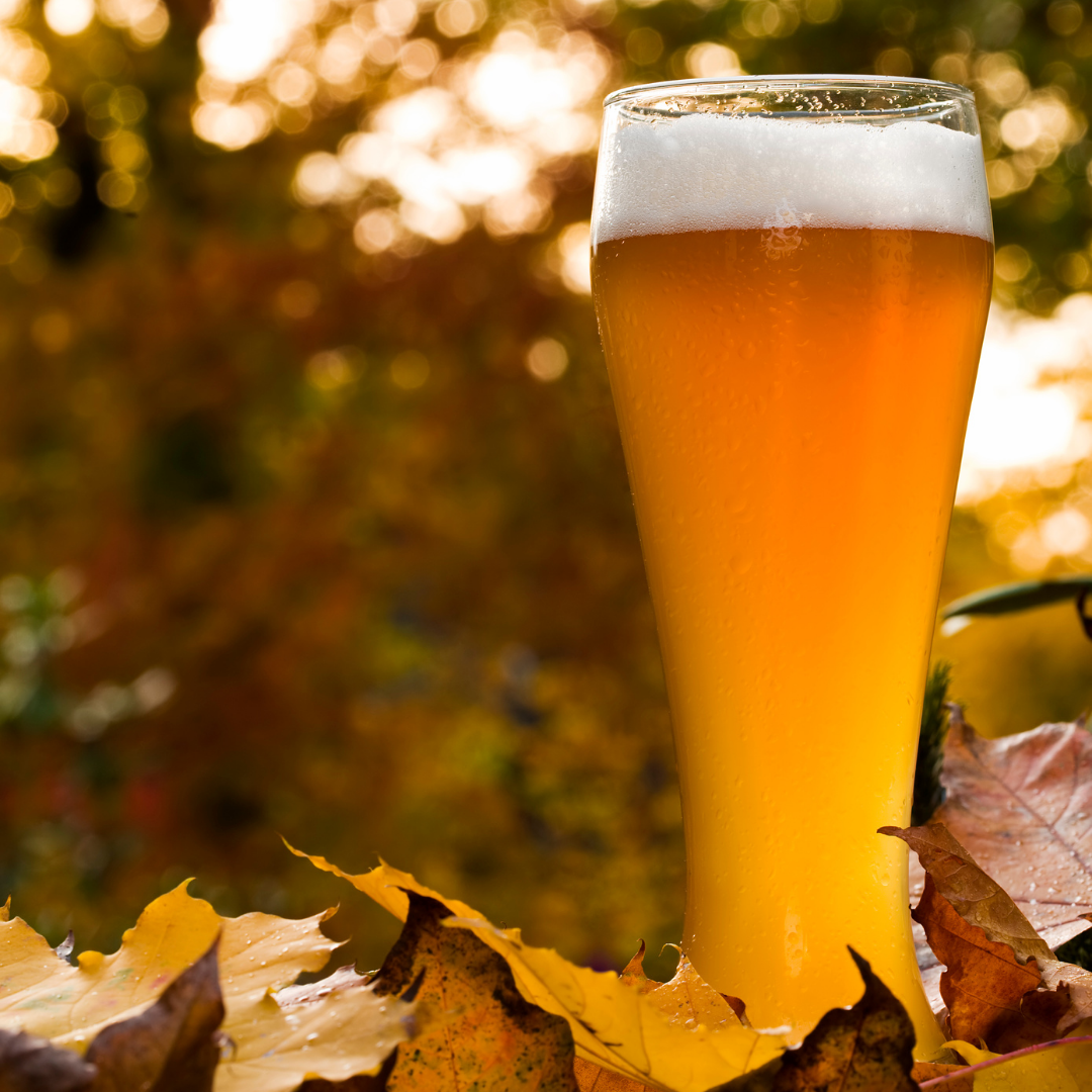 Pumpkin Brew