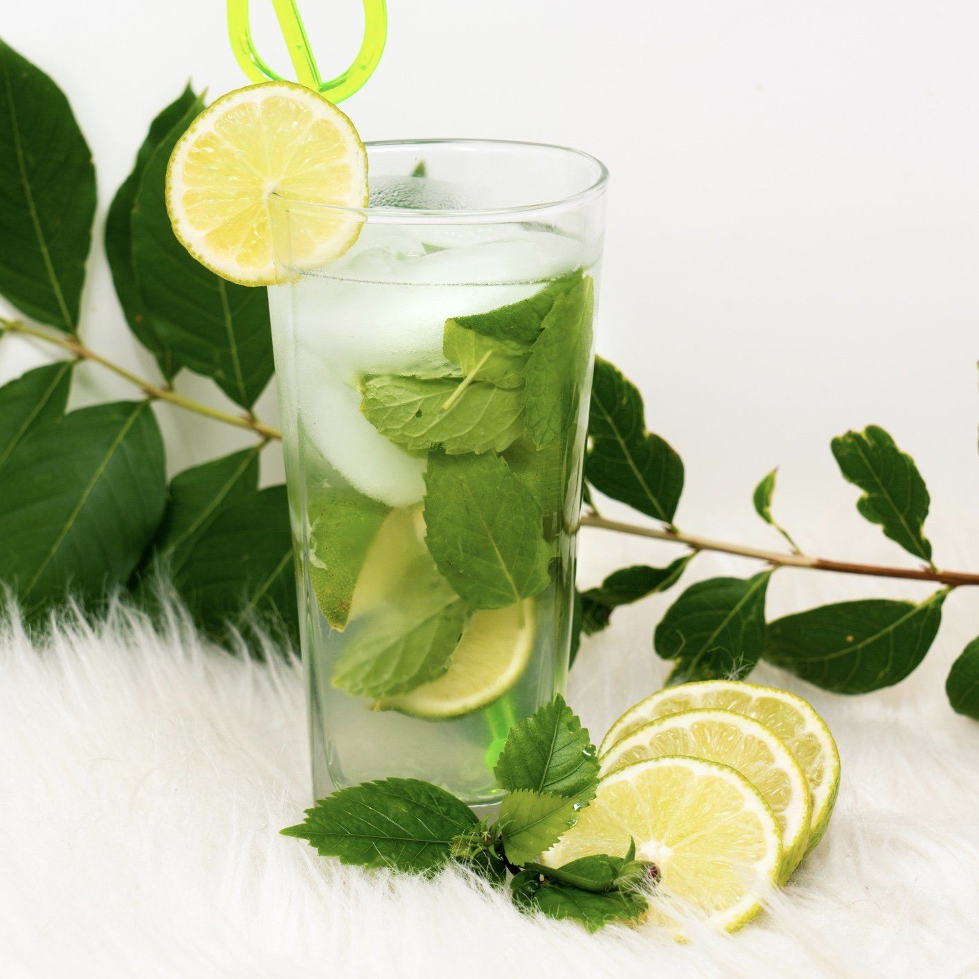 Skinny Mint Mojito