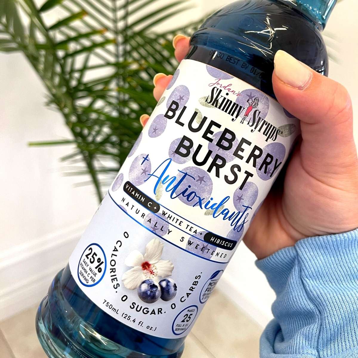 Blueberry Burst + Antioxidants Syrup - Skinny Mixes